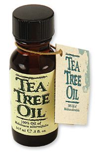 Tea Tree Oil, 14 мл. 100% масло чайного дерева